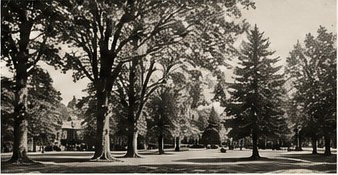 Illustration of landscaped school grounds